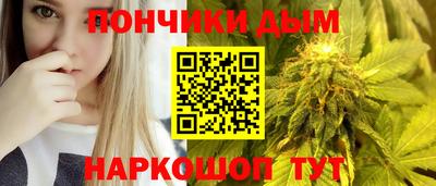 индика Рузаевка